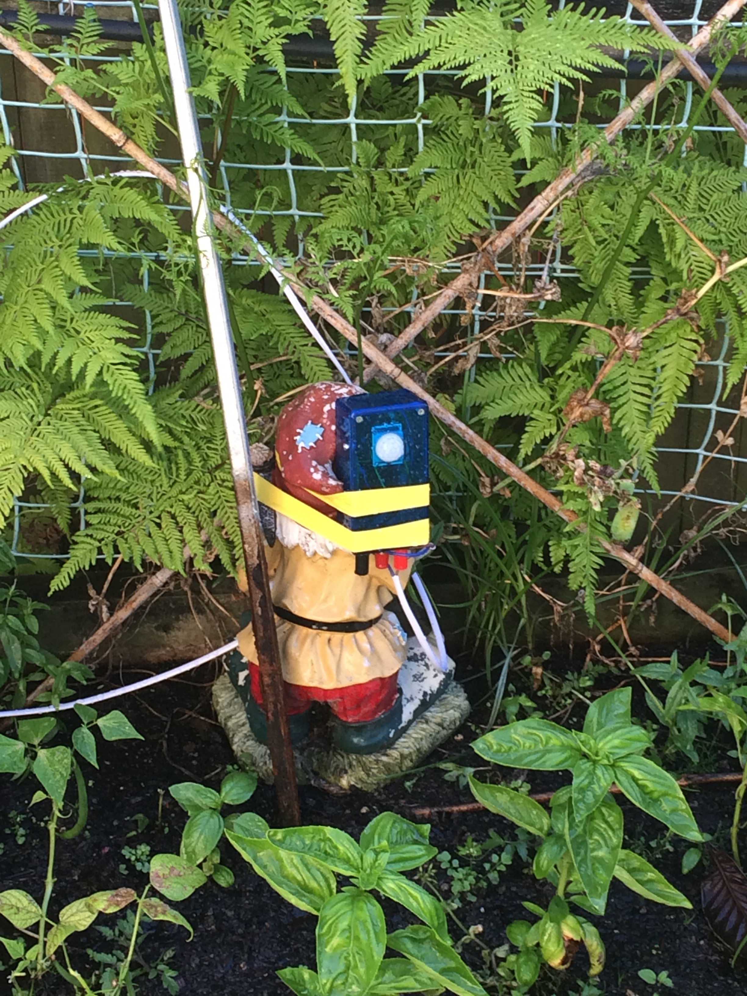 gnome.jpg