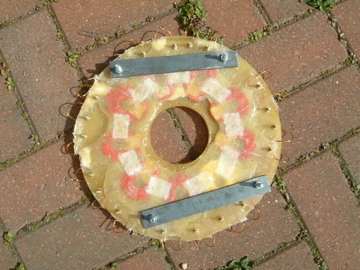 mold